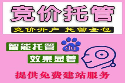 百度广告竞价策略：成功企业的投放技巧与经验